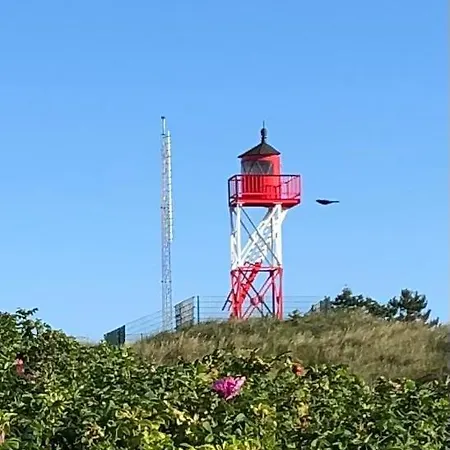 Haus Seemowe Ferienwohnung Mowennest Lejlighed Borkum