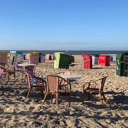 Haus Seemowe Ferienwohnung Mowennest * Borkum